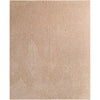 Beige, Sandstone, Taupe / 2' x 3'