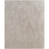 Beige, Taupe, Sandstone / 2' x 3'