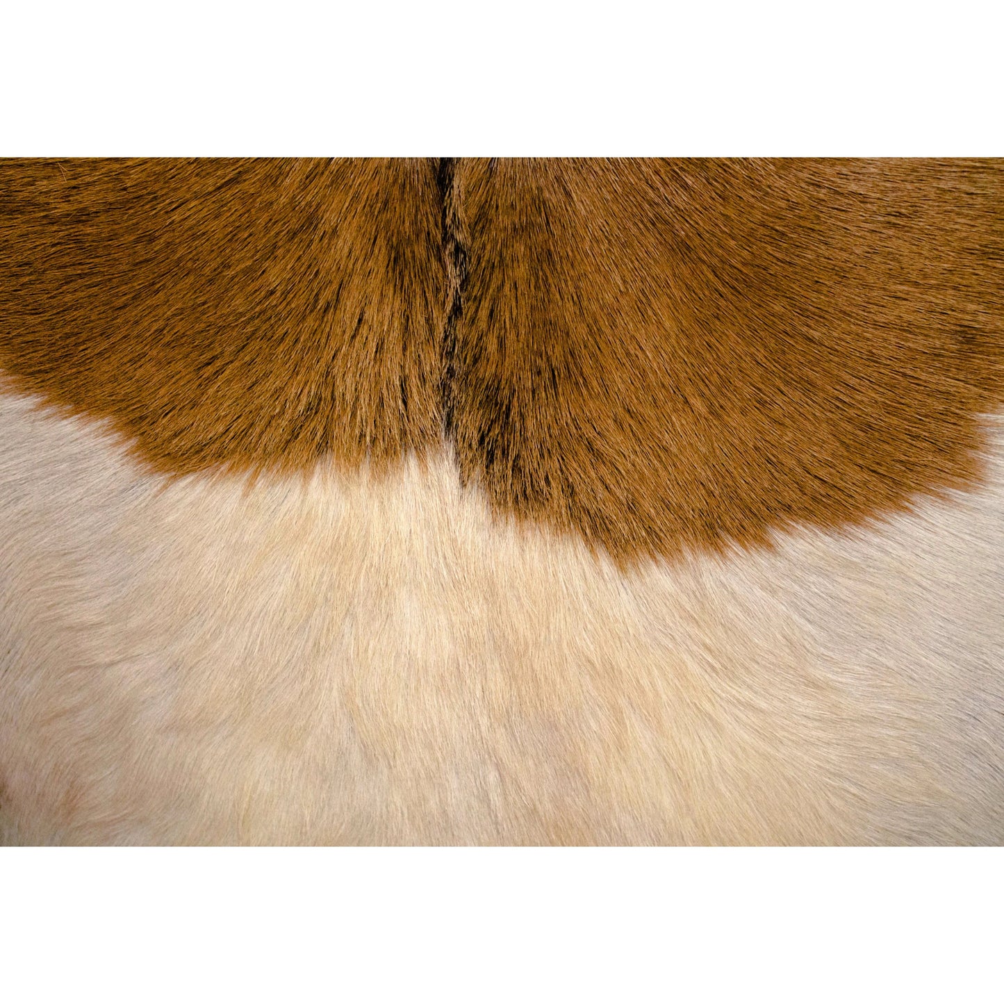 003 SI-2004407 | Closeup | Rio Cool Armchair by LH Imports in brown mindi oak, leather/goat hair and mindi oak. Made from mindi oak, leather, pu leather, goat hair in a cottage & farmhouse style.