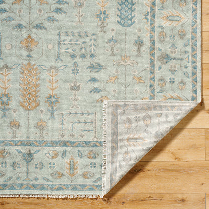 Riviera RIV-2304 Rug by Surya in sky blue, goldenrod, slate gray, ivory, cornflower blue. Made from new zealand wool, cotton in a unique style.