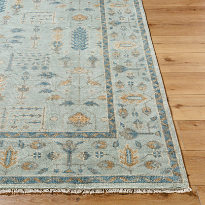 Riviera RIV-2304 Rug by Surya in sky blue, goldenrod, slate gray, ivory, cornflower blue. Made from new zealand wool, cotton in a unique style.