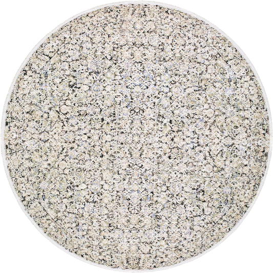 Rivaldo RVD-2300 Indoor/Outdoor Rug by Livabliss in light brown, cream, light slate, black, light olive, blue. Made from face: 100% polyester, warp: 100% cotton in a unique style.