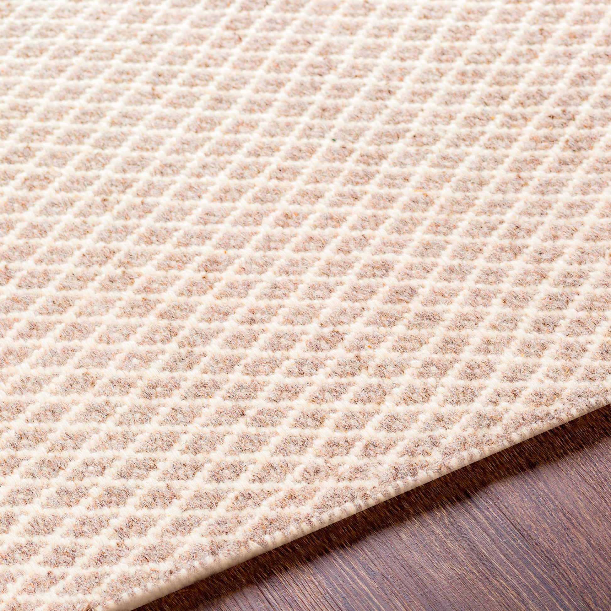 Ravena RVN-3000 Indoor/Outdoor Rug by Surya. Made from 100% wool in a unique style.