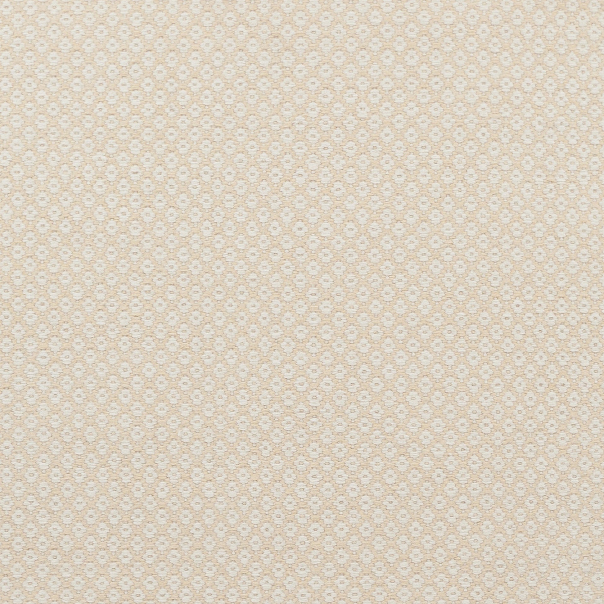 Ravena RVN-3000 Indoor/Outdoor Rug by Surya. Made from 100% wool in a unique style.