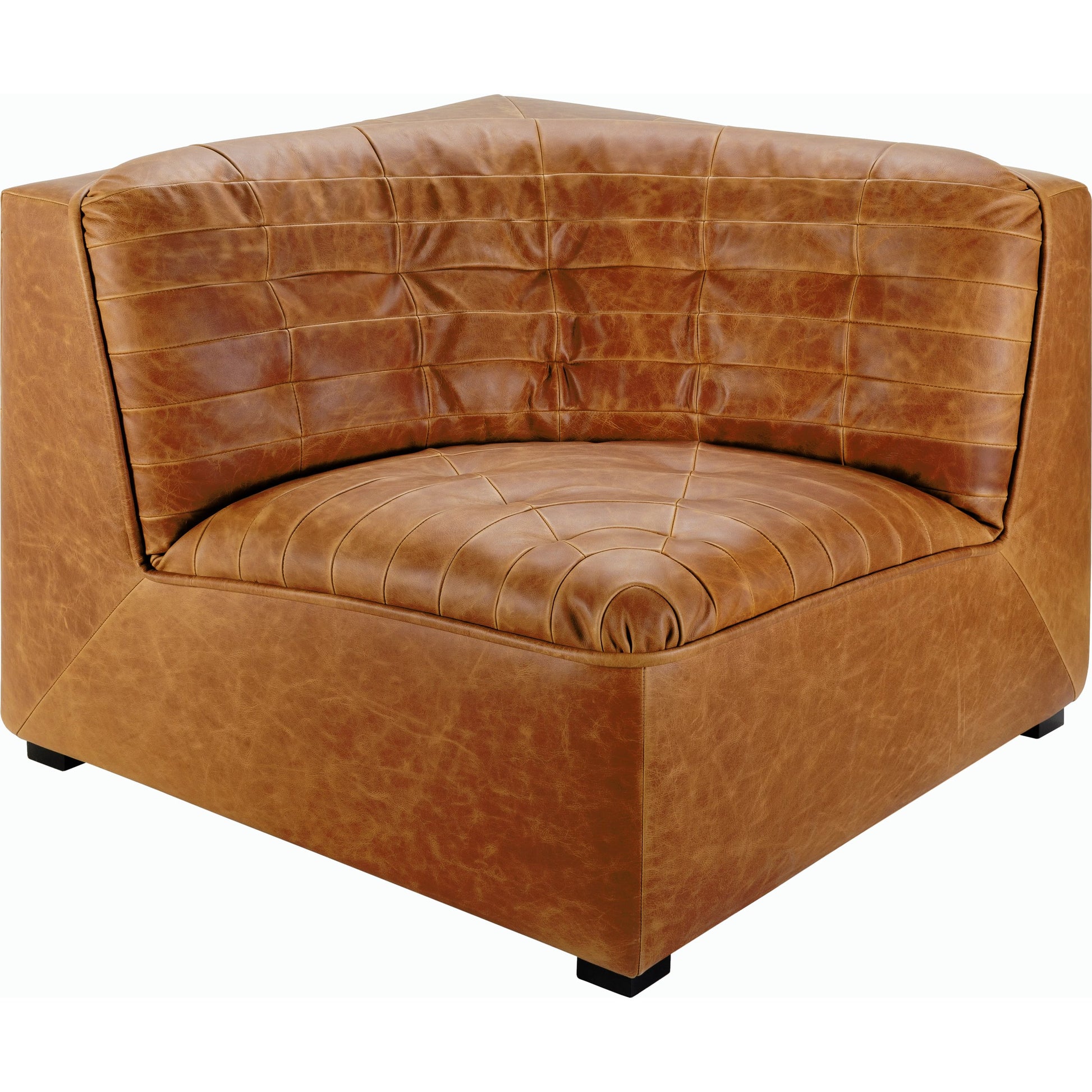 Oryan Accent Chair - 528564 by Surya in upholstery: brown, base: black and painted. Made from leather, pine, polyurethane foam, dacron in a transitional style.