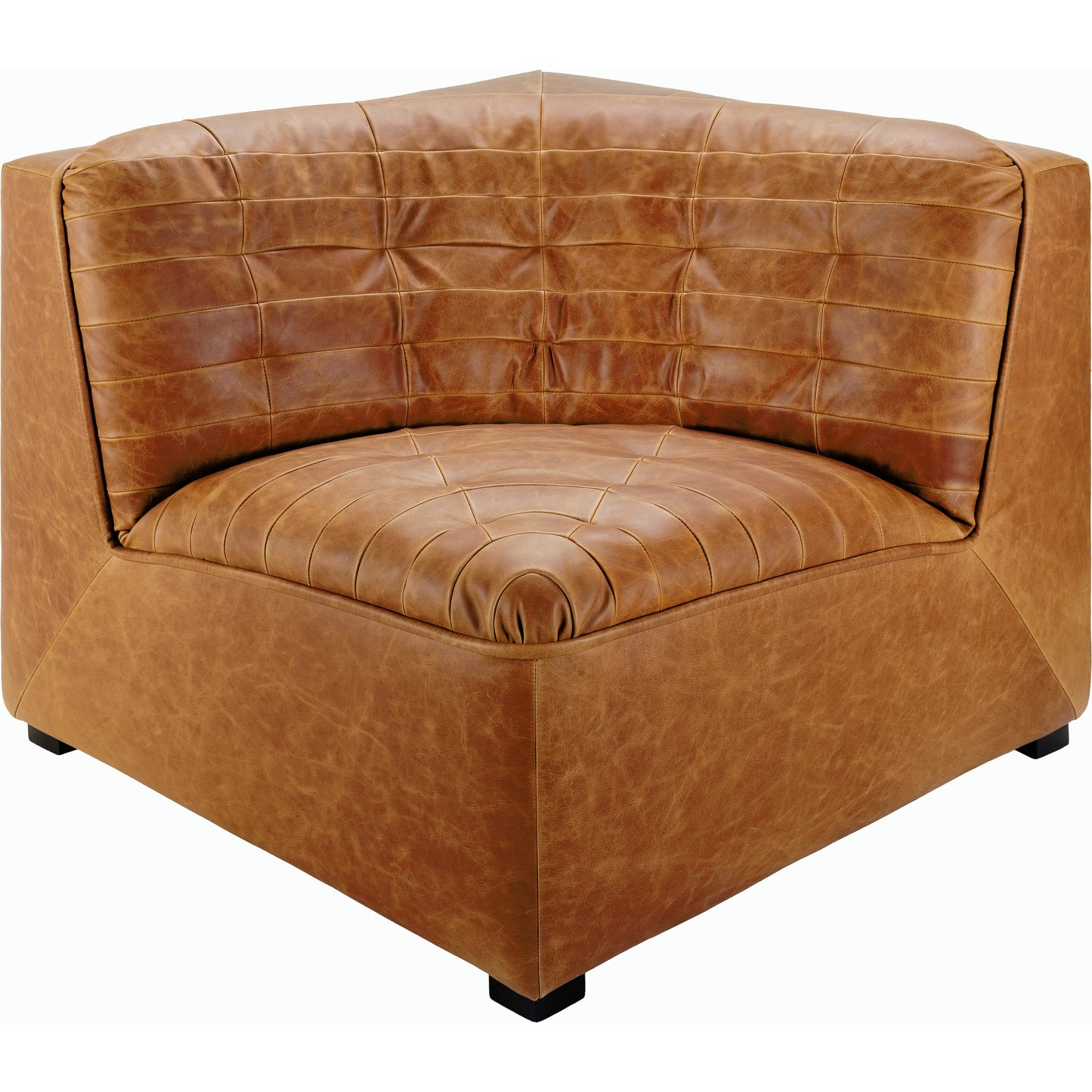 002 SI-2164457 | Closeup | Oryan Accent Chair - 528564 by Surya in upholstery: brown, base: black and painted. Made from leather, pine, polyurethane foam, dacron in a transitional style.