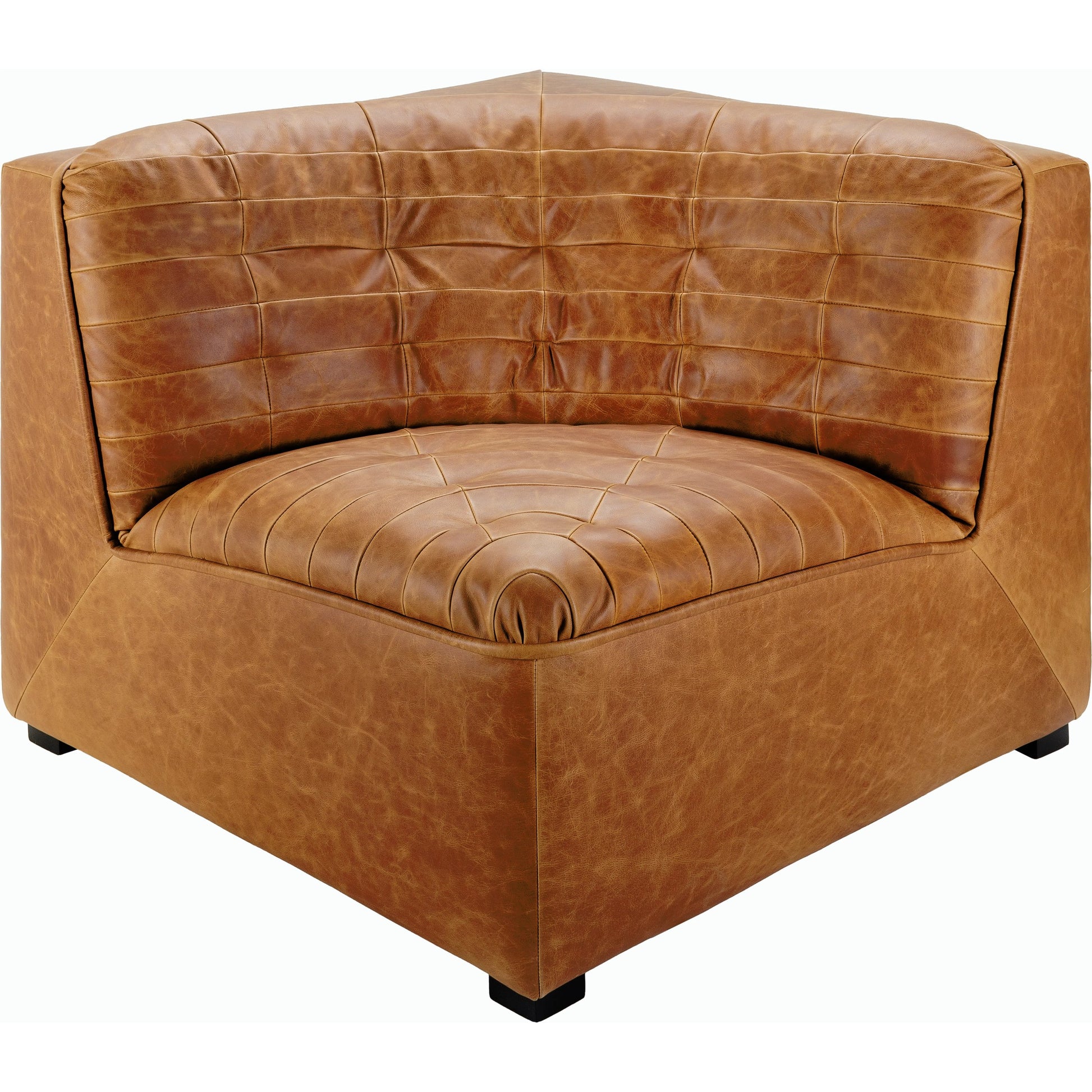 Oryan Accent Chair - 528564 by Surya in upholstery: brown, base: black and painted. Made from leather, pine, polyurethane foam, dacron in a transitional style.