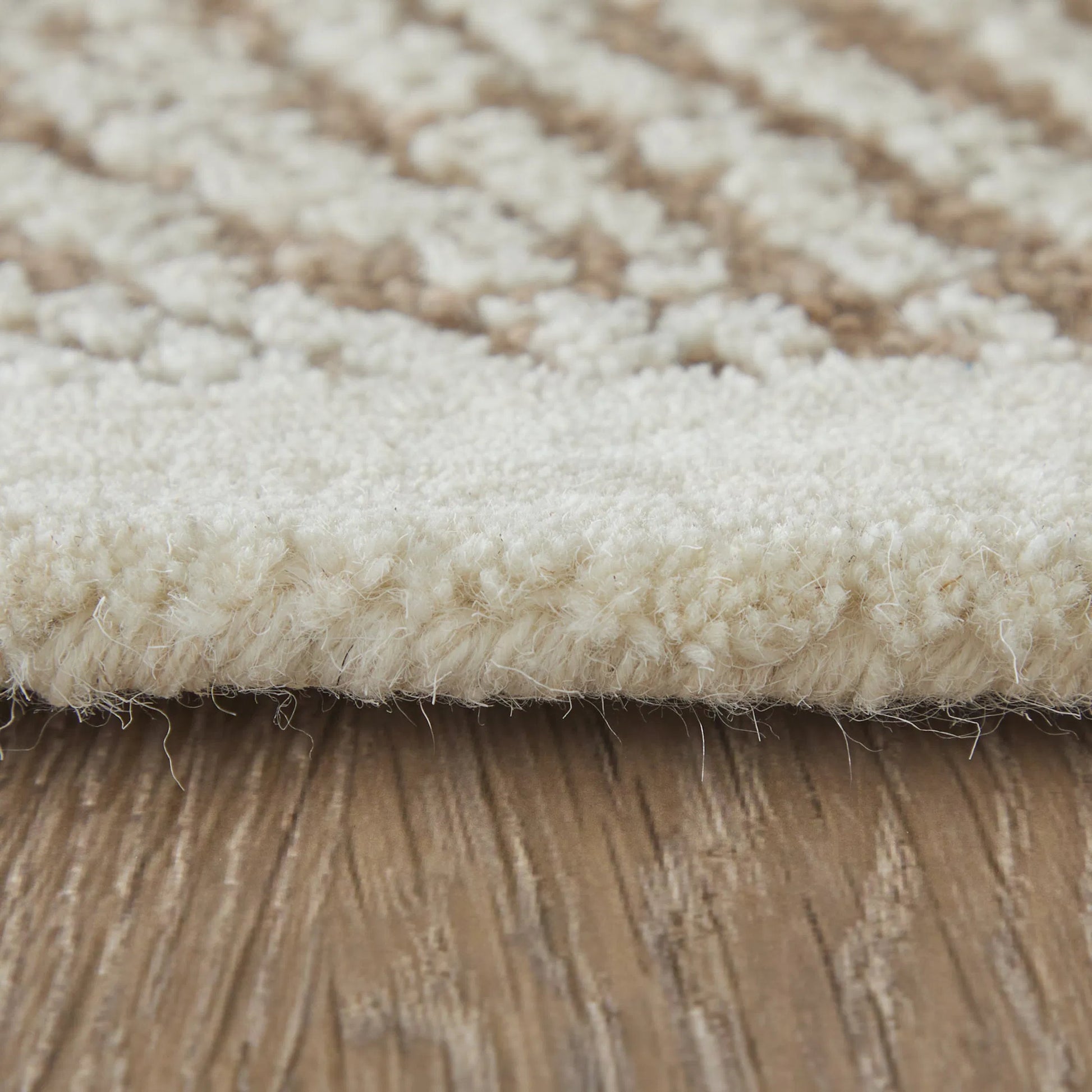 Winston & Botanical WNS8B02F Rug by Feizy. Made from wool in a unique style.