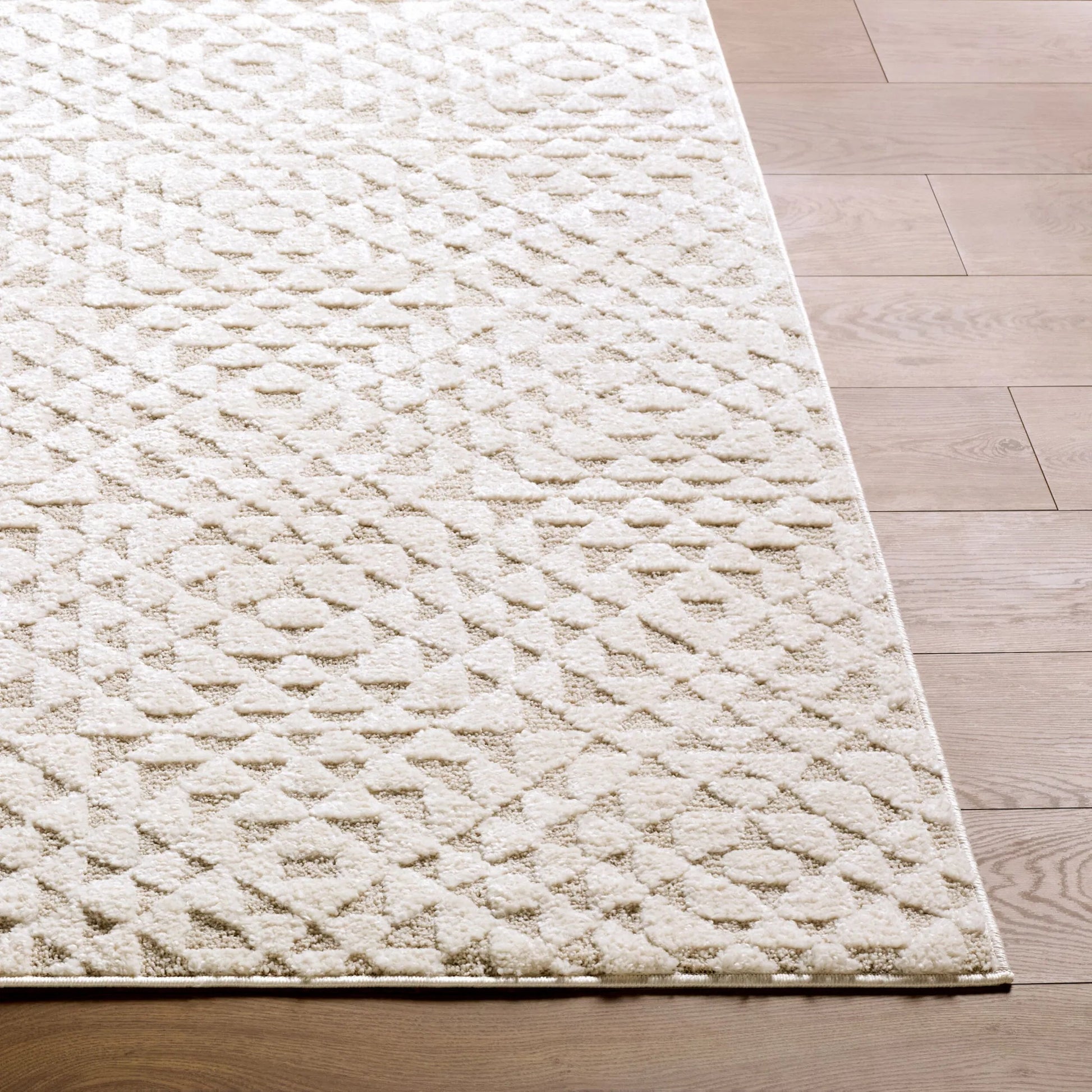 The Studio Edit RZSE-2317 Rug by Livabliss. Made from polypropylene, polyester in a unique style.