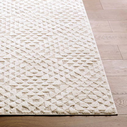 The Studio Edit RZSE-2317 Rug by Livabliss. Made from polypropylene, polyester in a unique style.