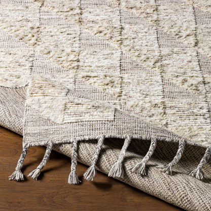 Sahara SAH-2300 Rug by Surya in dark brown, ivory, medium gray, charcoal. Made from 100% wool in a unique style.