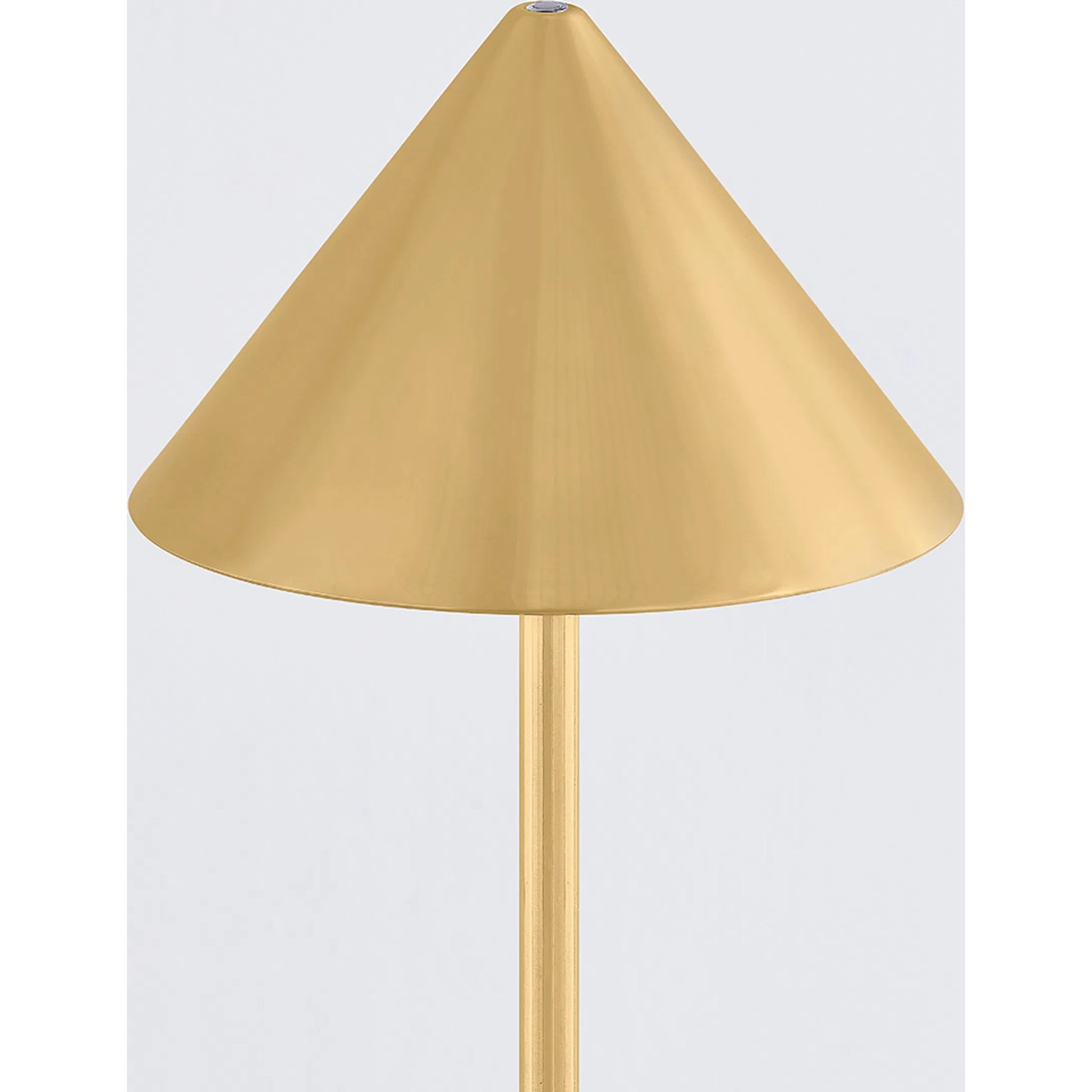 Salma Rechargeable Floor Lamp by Hudson Valley in aged brass. Made from steel in a transitional style.