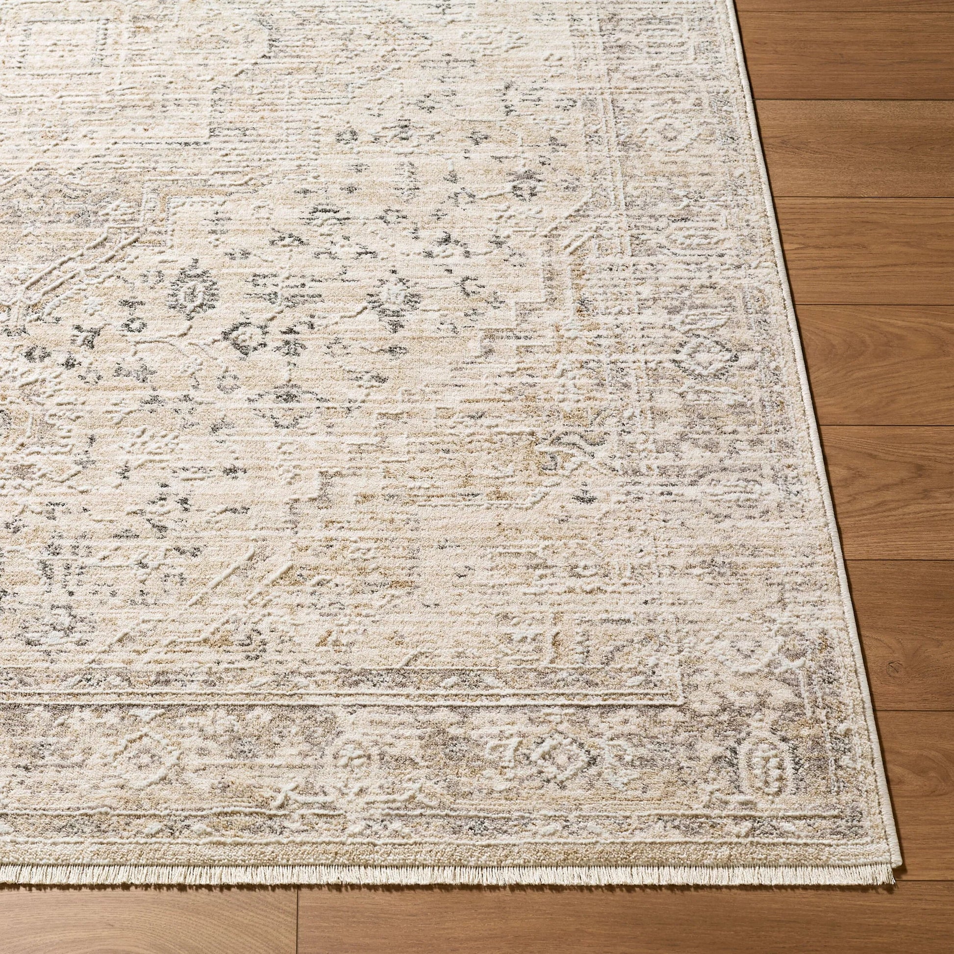 Seclusion SCN-2302 Rug by Livabliss. Made from polyester in a unique style.