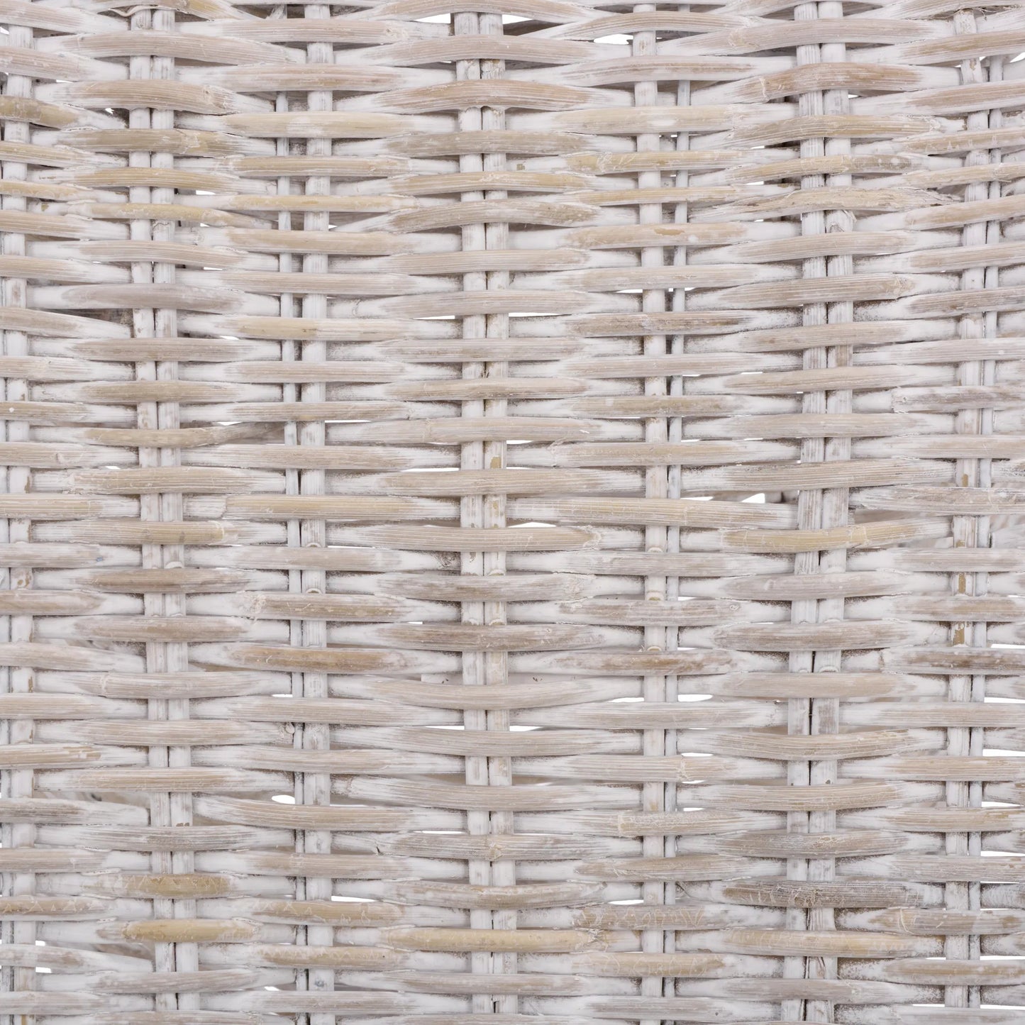 008 SI-2630125 | Closeup | Fairview Dining Chair (Set of 2) by HedgeApple Essentials in white washed. Made from rattan, iron in a unique style.