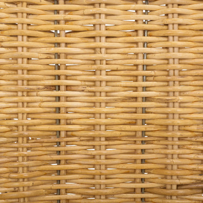 Fairview Dining Chair (Set of 2) by HedgeApple Essentials in natural. Made from rattan, iron in a unique style.