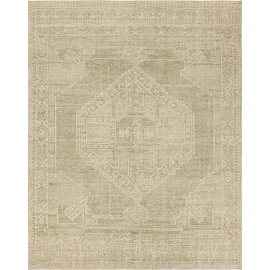 Sevak SEV08 Rug by Jaipur Living in gren, cream. Made from 100% wool in a unique style.