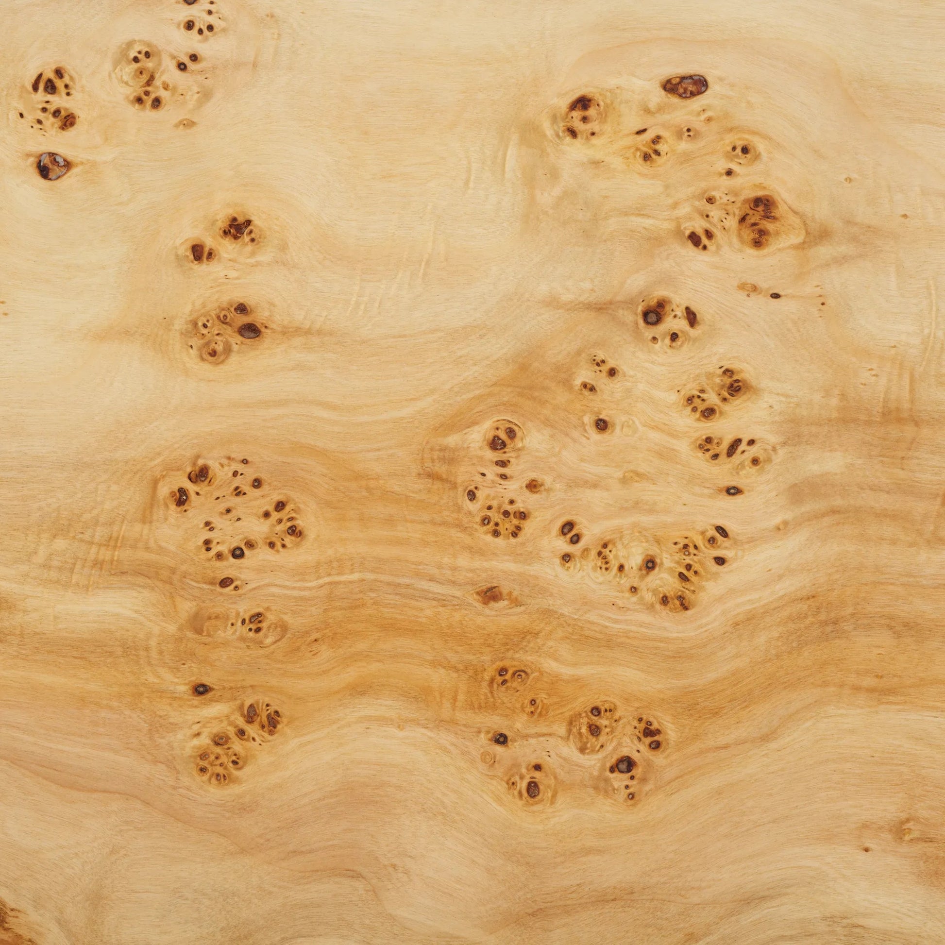 Moffat Burled Mappa Console Table by HedgeApple Essentials. Made from mdf in a transitional style.