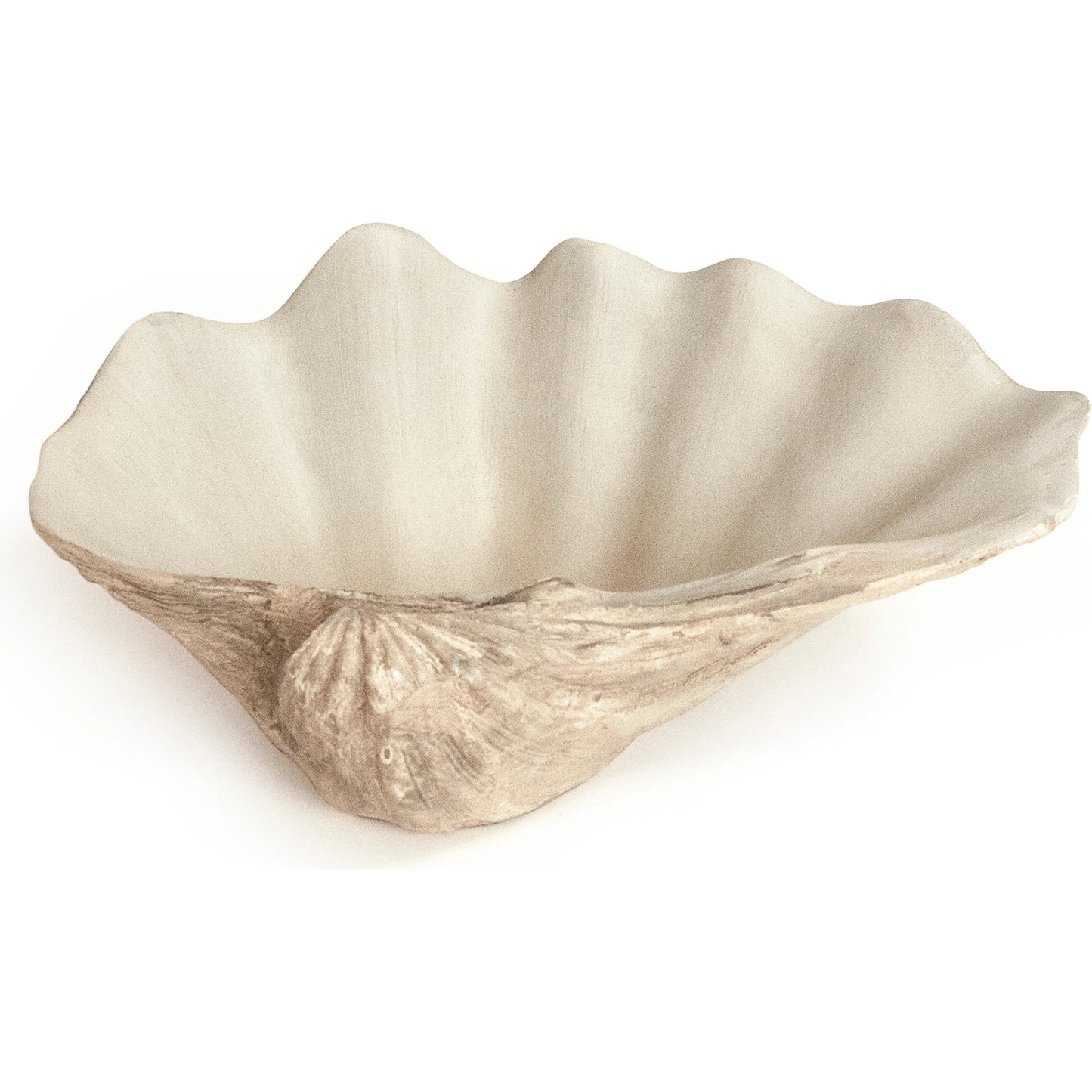 002 SI-2448983 | Additional Silo | Tridacna Half Shell Bowl by Zentique in off-white, taupe. Made from resin in a transitional style.