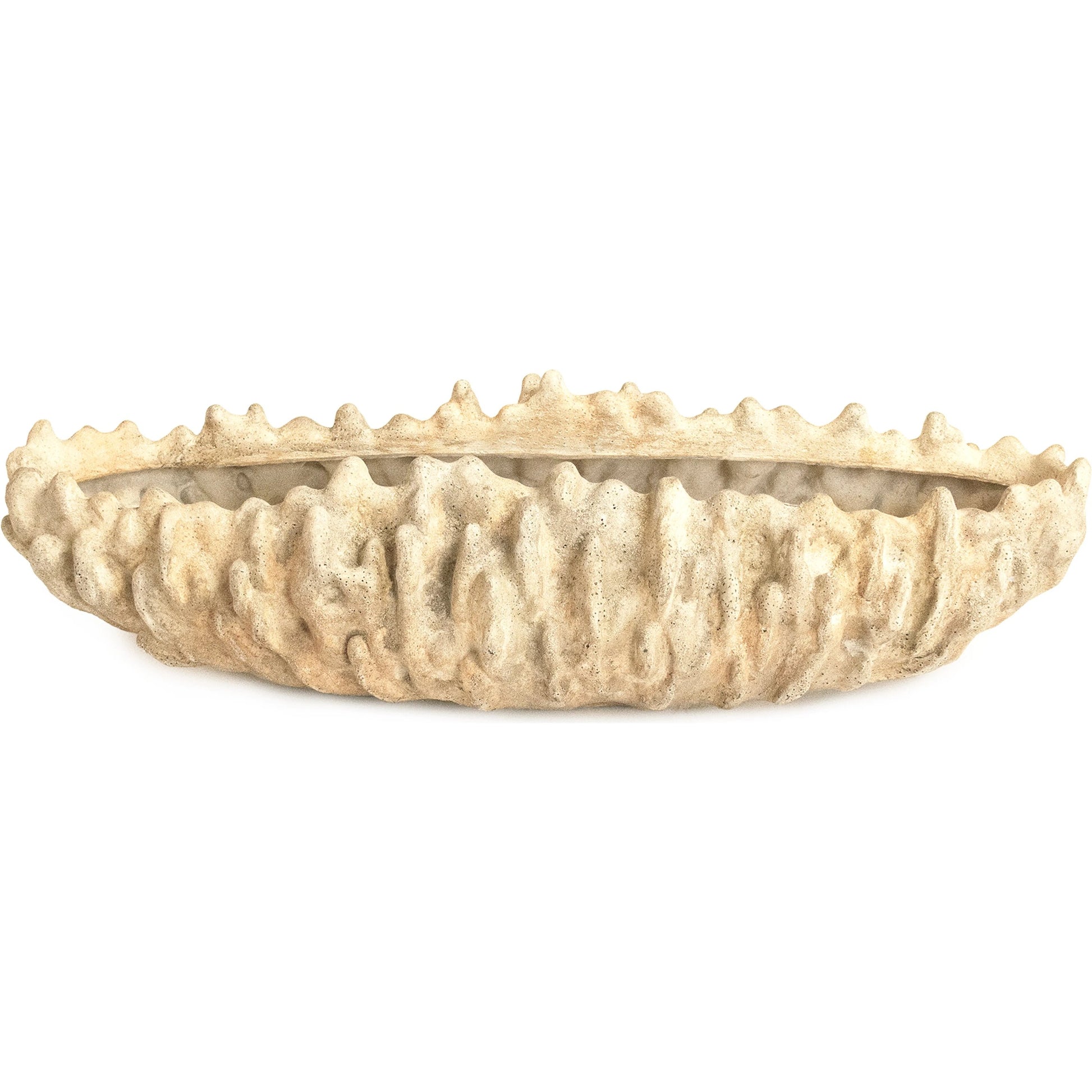 Coral Shell Bowl by Zentique in distressed beige. Made from resin in a modern style.