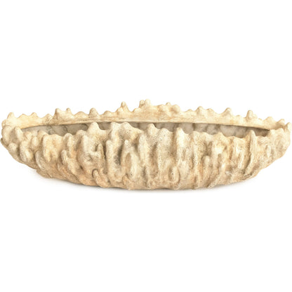Coral Shell Bowl by Zentique in distressed beige. Made from resin in a modern style.