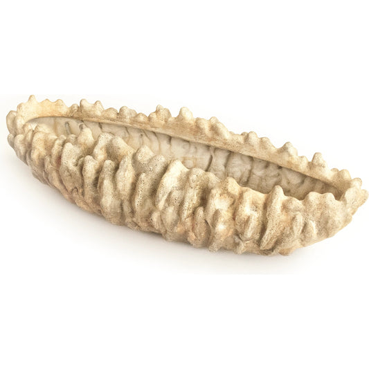 Coral Shell Bowl by Zentique in distressed beige. Made from resin in a modern style.