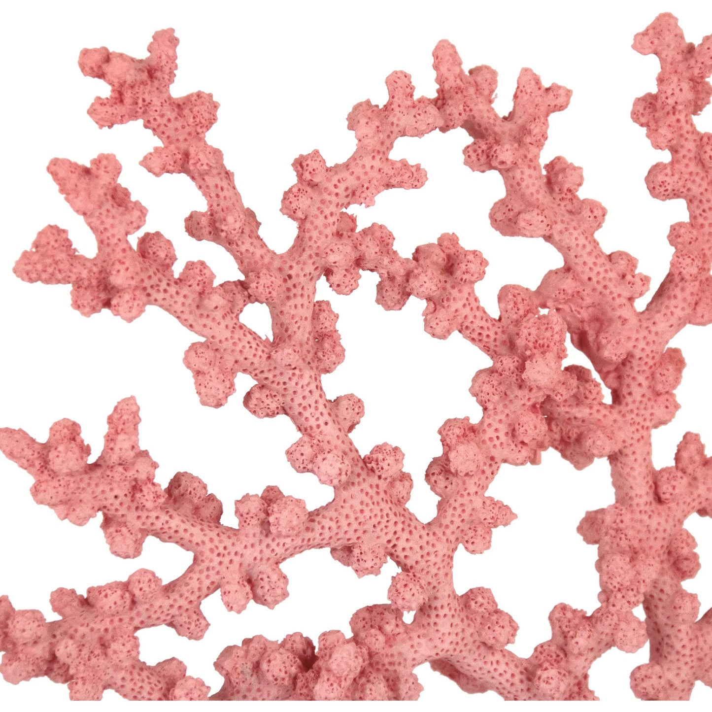 002 SI-2448733 | Closeup | Coral Accent Décor by Zentique in coral, marble. Made from resin in a modern style.