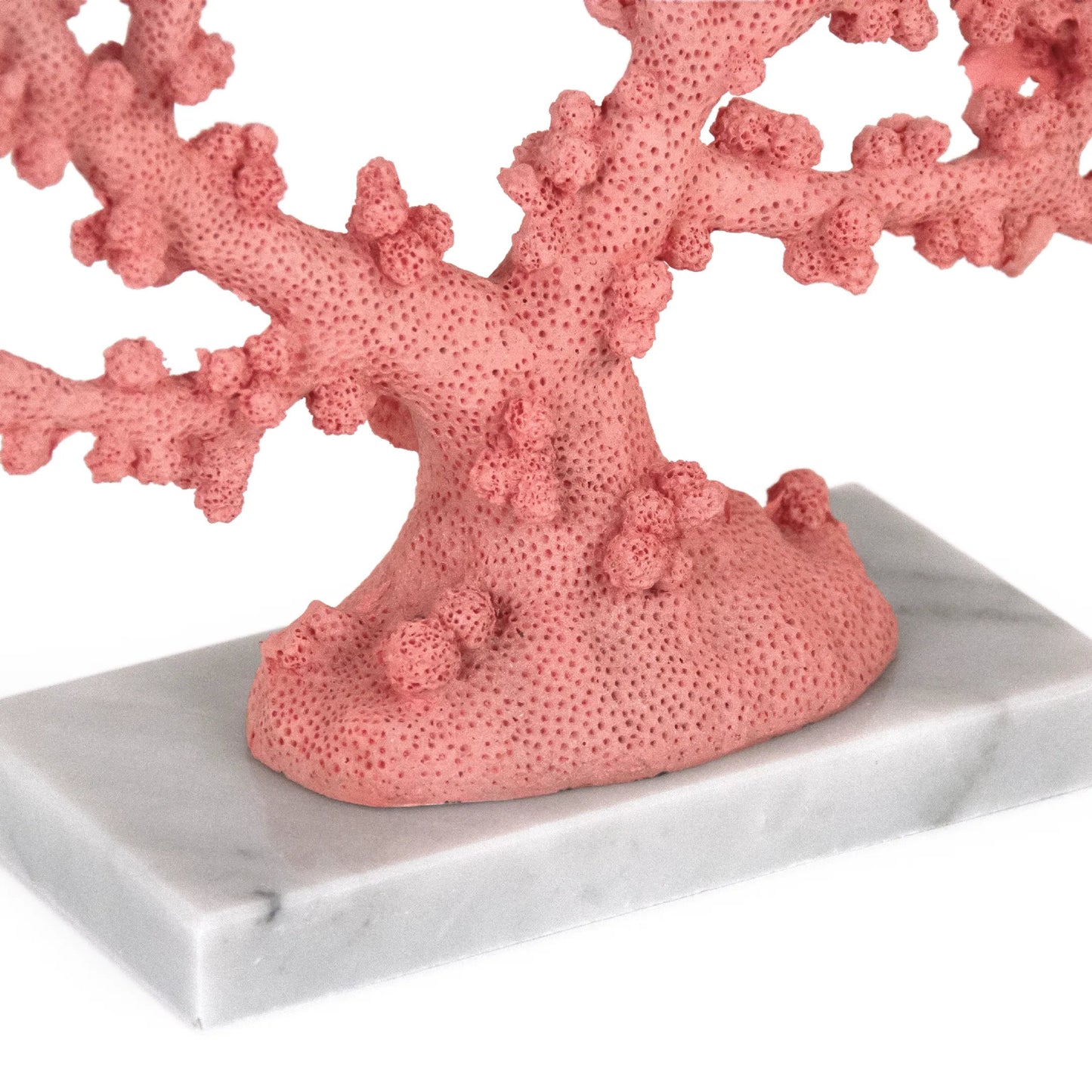 003 SI-2448733 | Closeup | Coral Accent Décor by Zentique in coral, marble. Made from resin in a modern style.