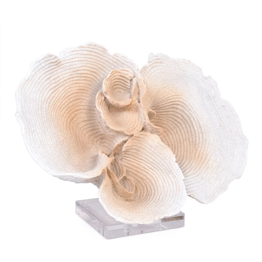 Coral on Acrylic Base by Zentique. Made from resin in a modern style.