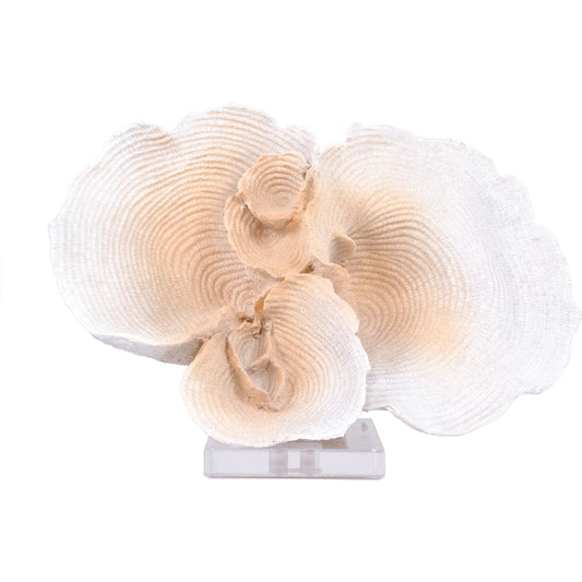 Coral on Acrylic Base by Zentique. Made from resin in a unique style.