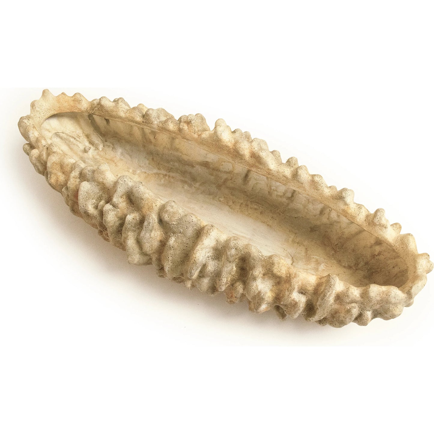 004 SI-2448734 | Additional Silo | Coral Shell Bowl by Zentique in distressed beige. Made from resin in a modern style.