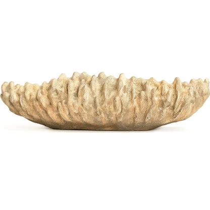 Coral Shell Bowl by Zentique in distressed beige. Made from resin in a modern style.