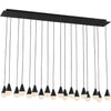 Nightshade Black