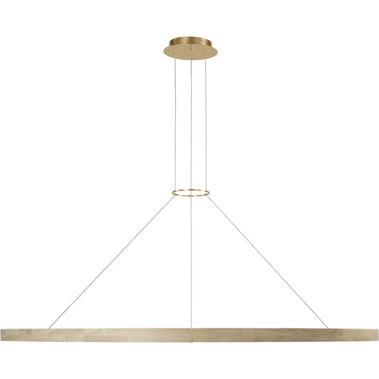 Ashok 65" Chandelier by Visual Comfort & Co. in hand rubbed antique brass. Made from brass in a modern style.