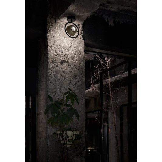 Olo Ring Wall/Ceiling Lamp by Seed Design in black/champagne gold. Made from steel in a modern style.