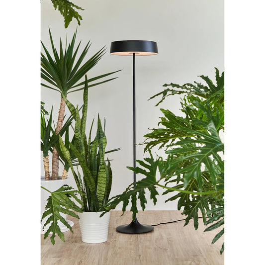 China Led Floor Lamp by Seed Design. Made from steel in a modern style.