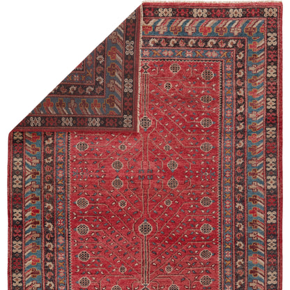 Donte Rug by Jaipur Living in red, blue. Made from 100% wool in a unique style.