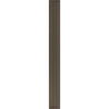 Outdoor Bronze