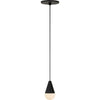 Nightshade Black