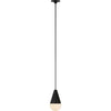 Nightshade Black
