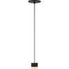 Nightshade Black