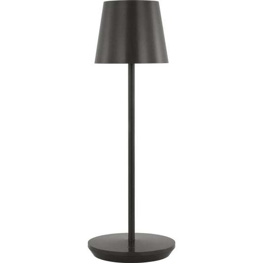 Nevis Accent Rechargeable Table Lamp by Visual Comfort & Co. in bronze. Made from brass in a unique style.