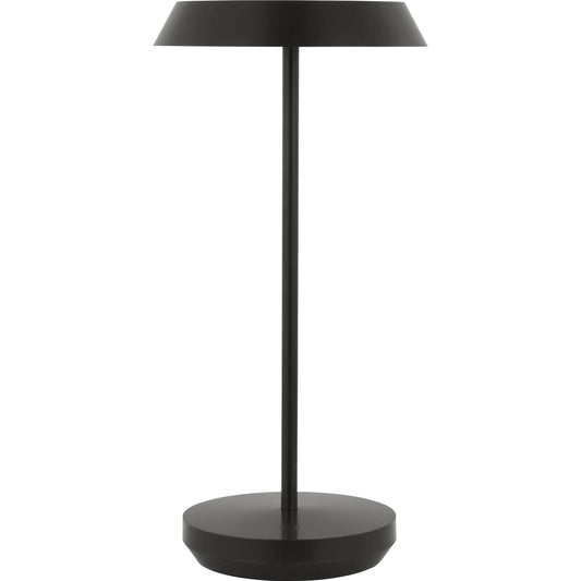 Tepa Accent Rechargeable Table Lamp by Visual Comfort & Co. in bronze. Made from brass in a unique style.