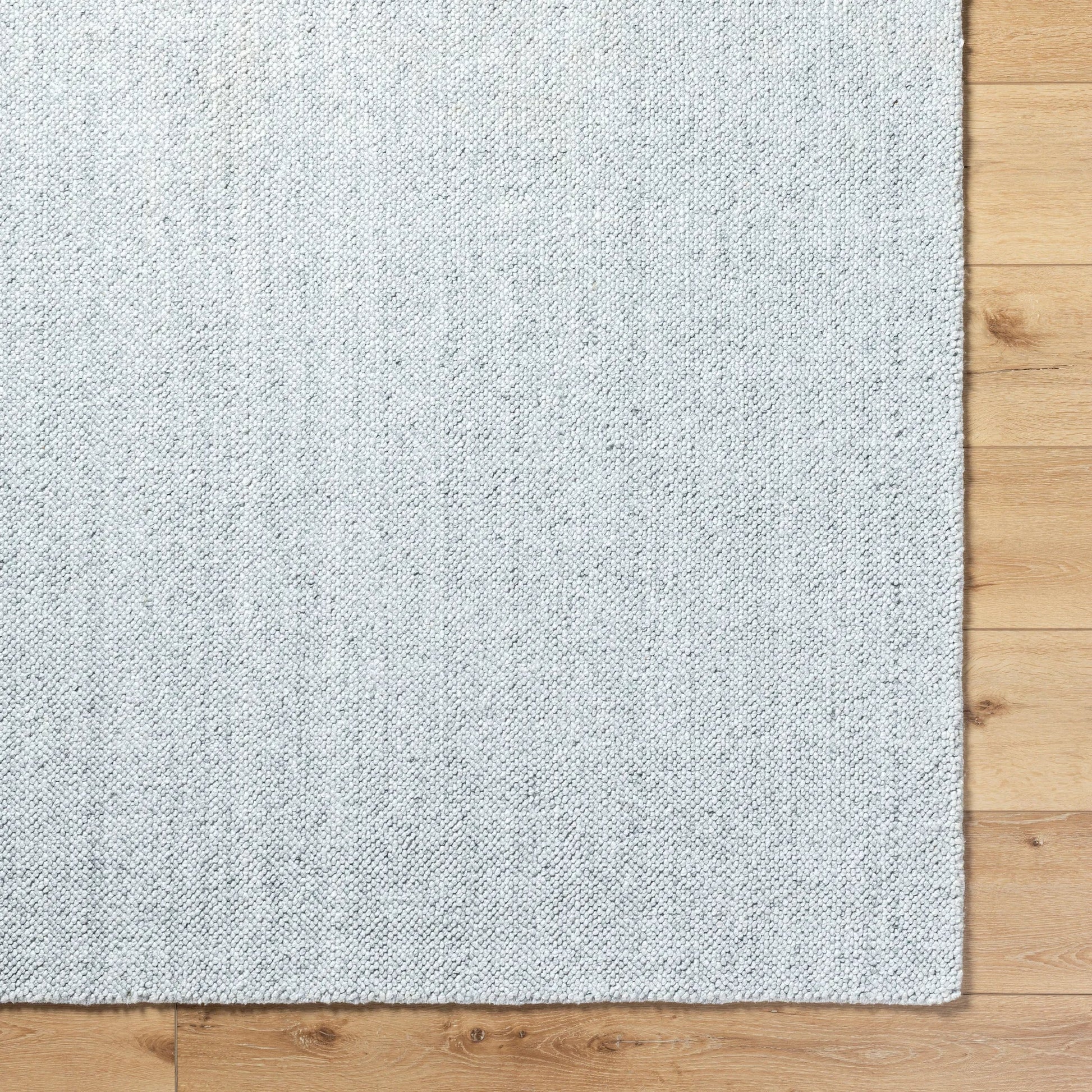 Salome SME-2300 Rug by Livabliss. Made from recycled pet yarn in a unique style.