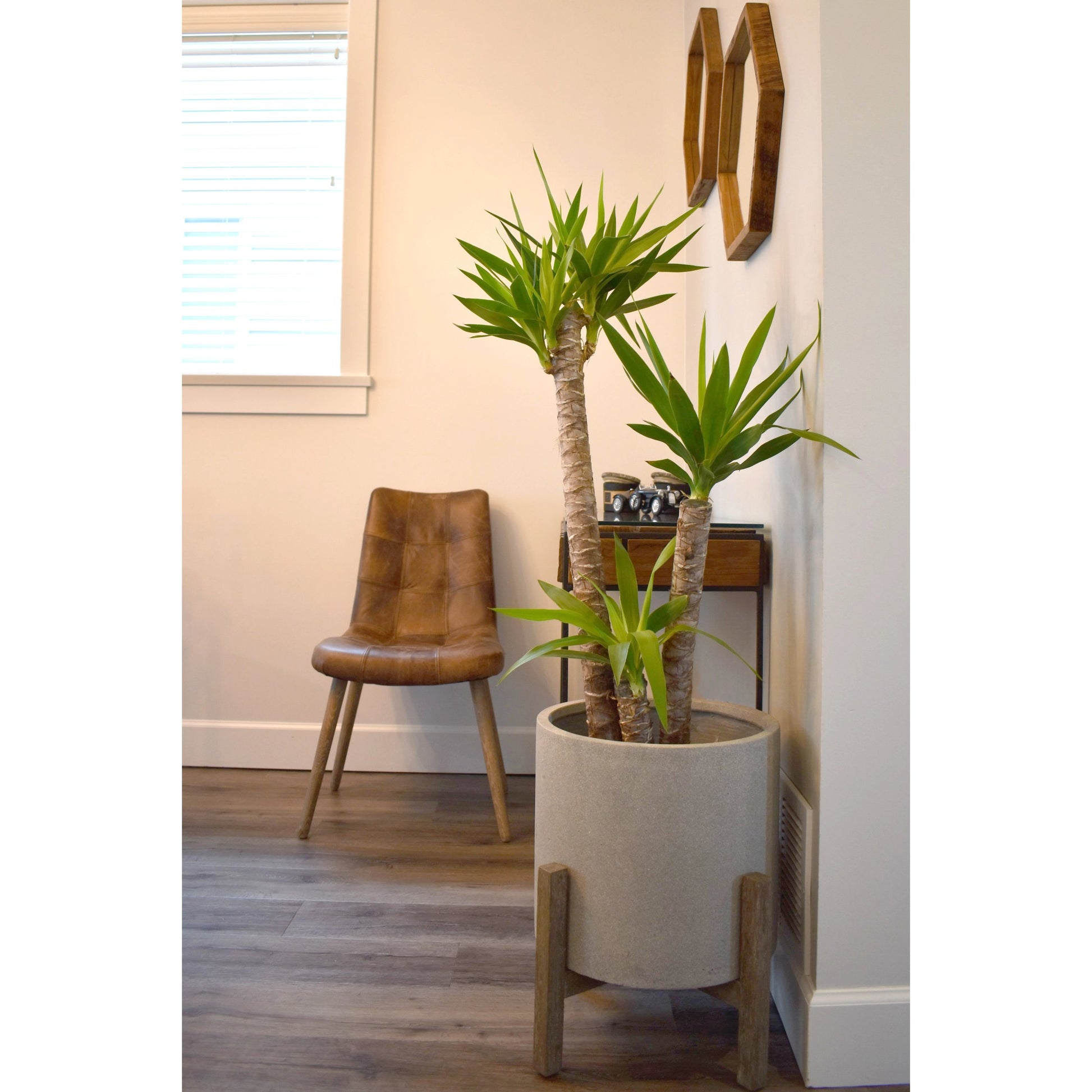 Mackenzie Dining Chair by LH Imports in brown. Made from ash, leather, pu foam, polyester fiber in a modern style.