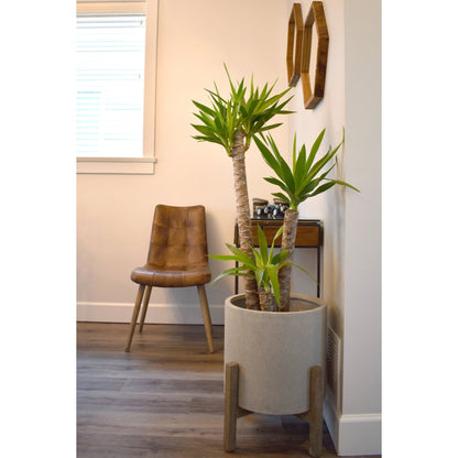 Mackenzie Dining Chair by LH Imports in brown. Made from ash, leather, pu foam, polyester fiber in a modern style.