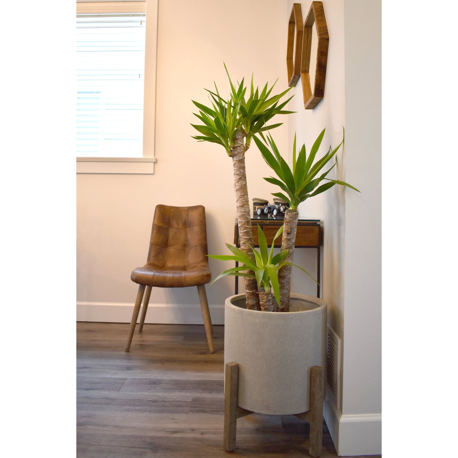 Mackenzie Dining Chair by LH Imports in brown. Made from ash, leather, pu foam, polyester fiber in a modern style.