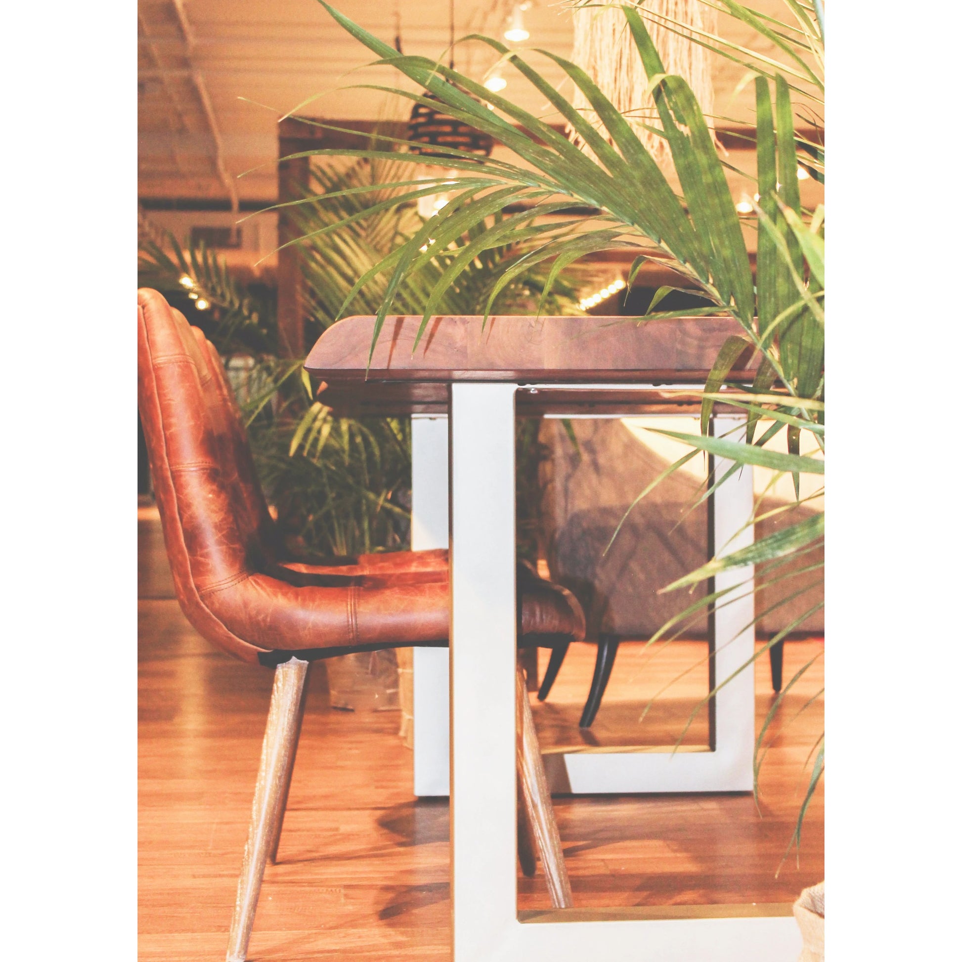 Mackenzie Dining Chair by LH Imports in brown. Made from ash, leather, pu foam, polyester fiber in a modern style.