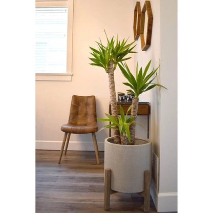 Mackenzie Dining Chair by LH Imports in brown. Made from ash, leather, pu foam, polyester fiber in a modern style.