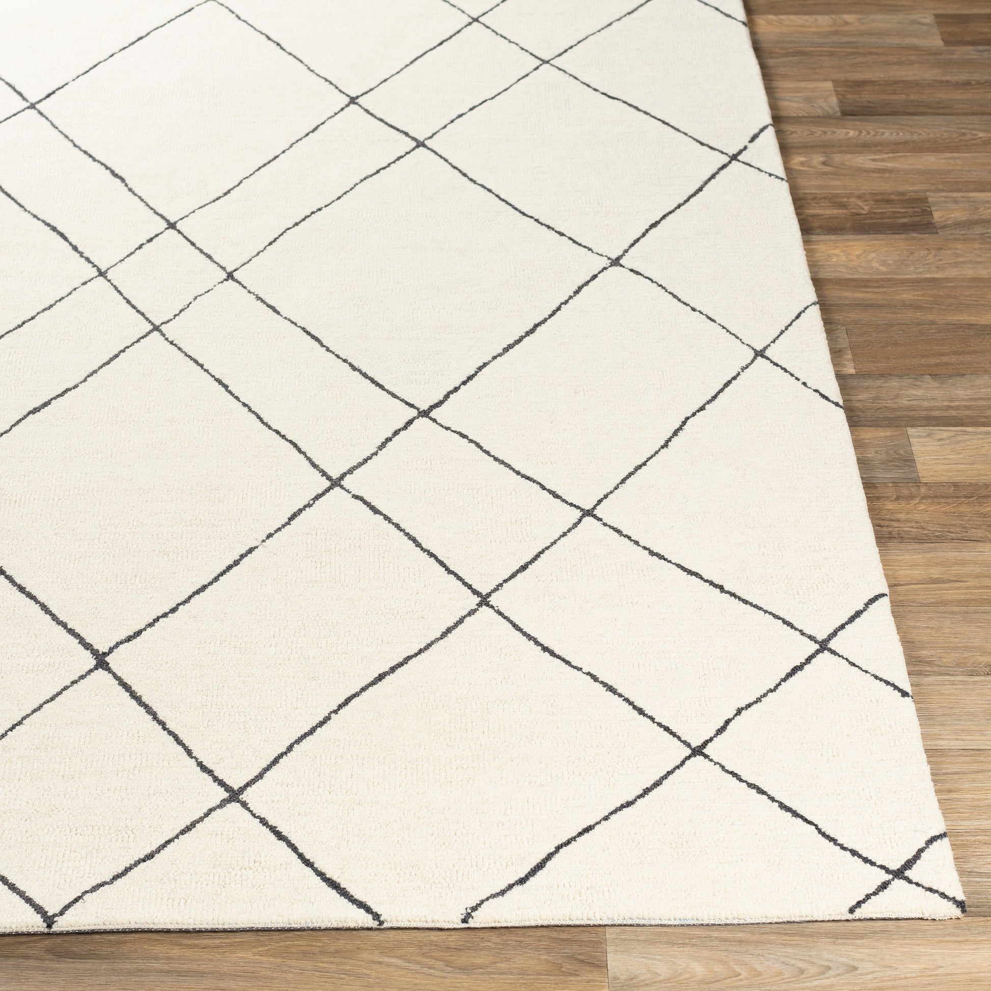 Sinop SNP-2304 Rug by Livabliss in black, cream. Made from 100% wool in a unique style.