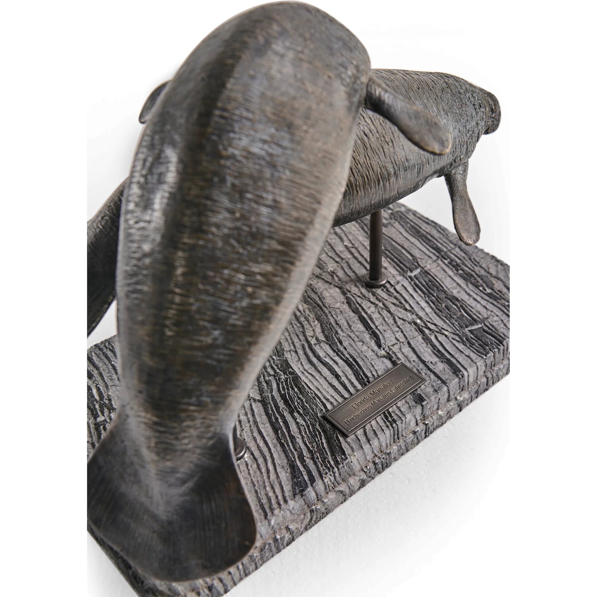 Raised Manatee Bronze Statue with Marble Base by Jonathan Charles in dark rustic waxed bronze. Made from main brass in a unique style.